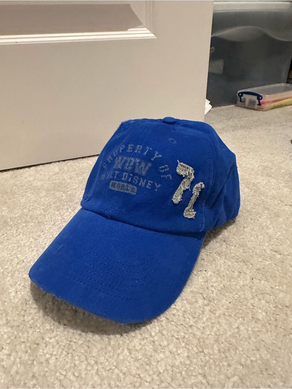 Vintage Disney Hat NWT